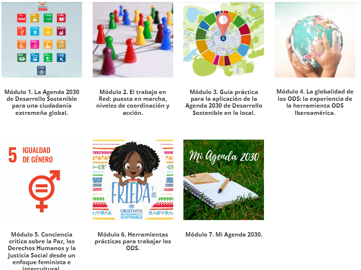 Más de 110 personas de 14 municipios de Extremadura participan en el Curso de Capacitación de la RedExODS